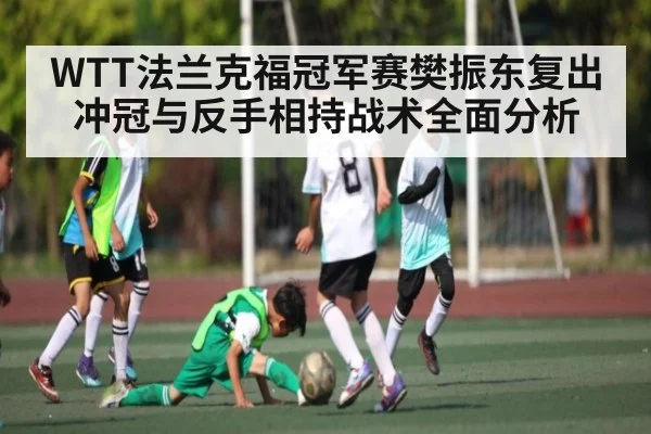 WTT法兰克福冠军赛樊振东复出冲冠与反手相持战术全面分析